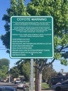 Coyote Warning Signs in Costa Mesa
